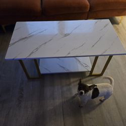 $50 Faux Marble Table