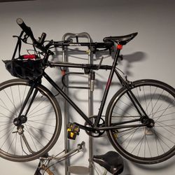 Fuji Declaration Fixed Gear Bike, 55