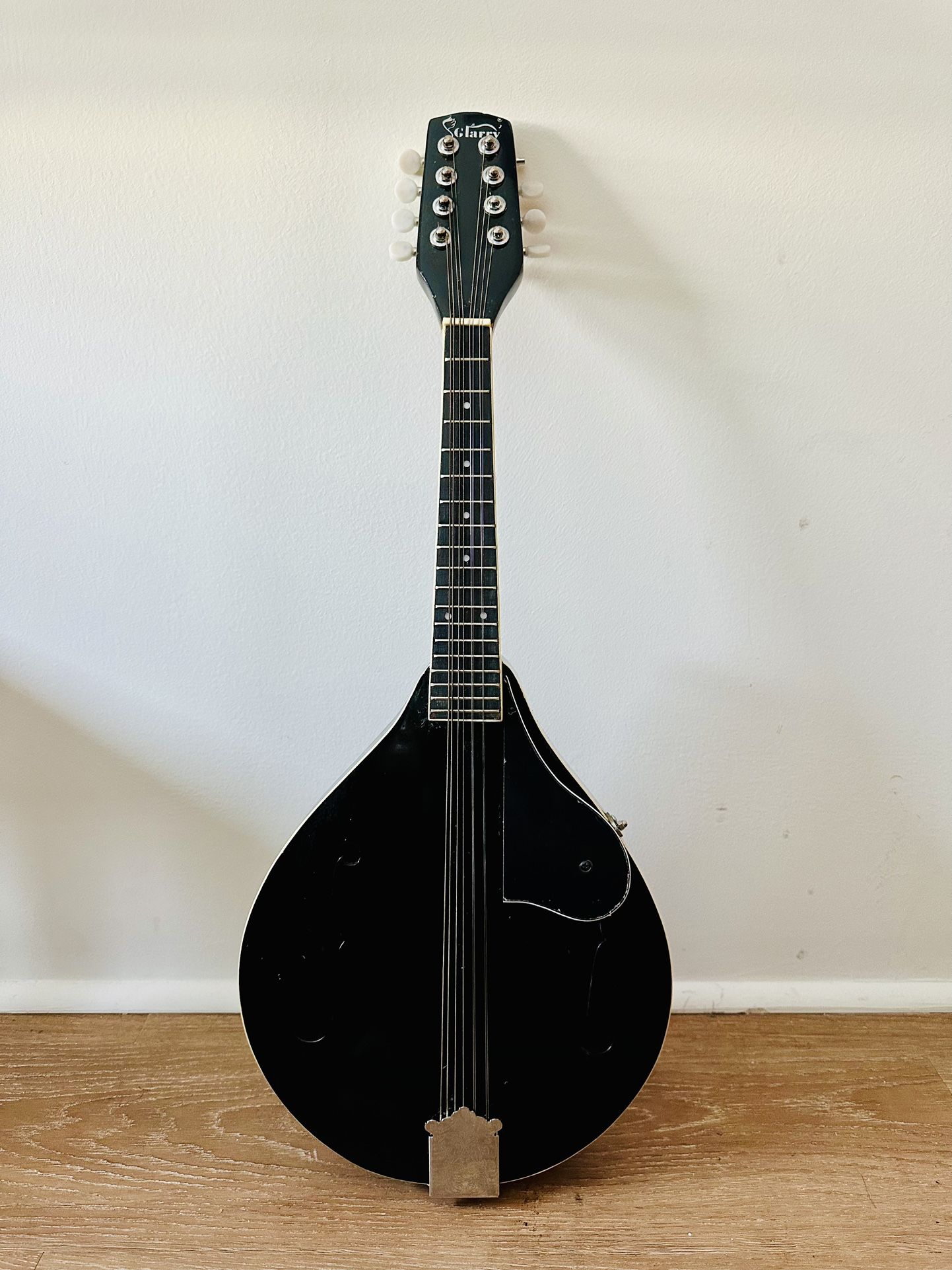 Mandoline (small acoustic string instrument)