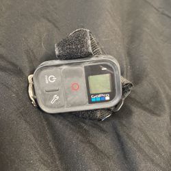 GoPro Remote Watch
