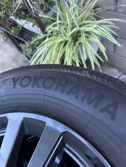 Land Cruiser 2026 Tire