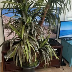 Faux Tree