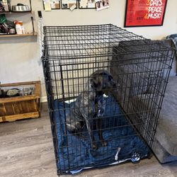 Dog Crate