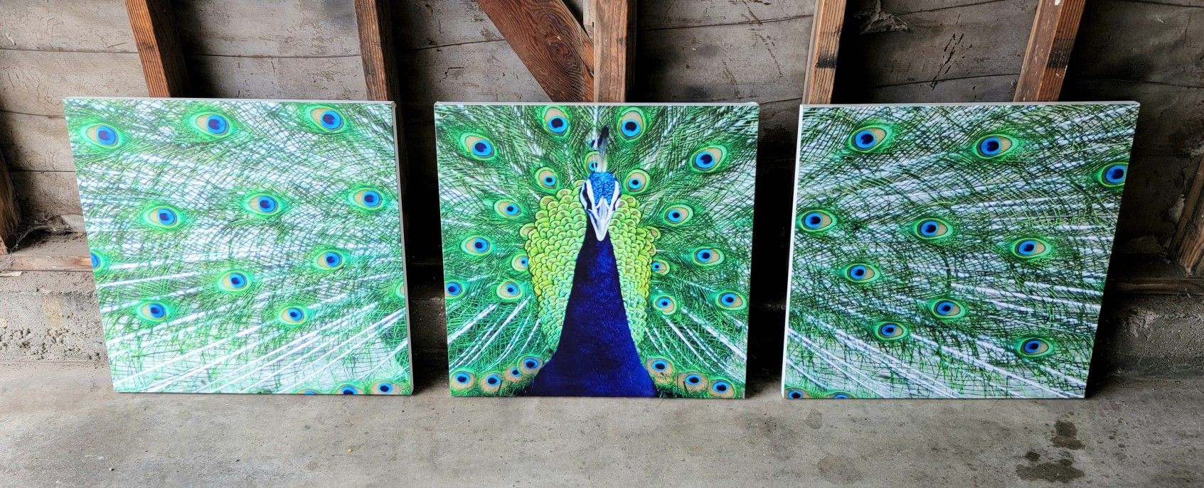 3 Panel Peacock Feathers Wall Decor Art Paintings
