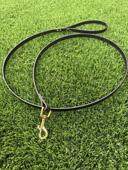 Biothane Cat Leashes