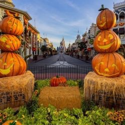 Magic Kingdom Not So Scary Party