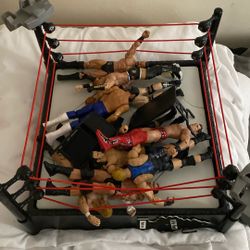 WWE RING LOT 