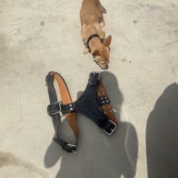 extra large dog real leather  spike harness