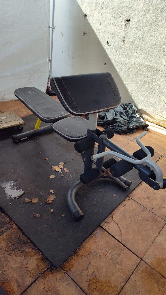 Adjustable Weight Bench