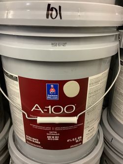 Exterior Paint (Skyline Steel)