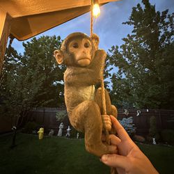 Hanging Monkey 