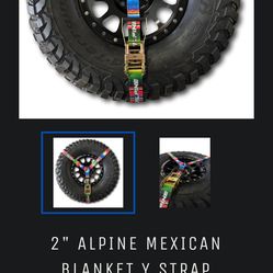 Alpine Tire straps