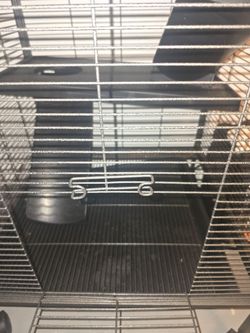 Cage ferret
