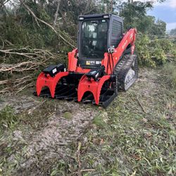 Bobcat Work 