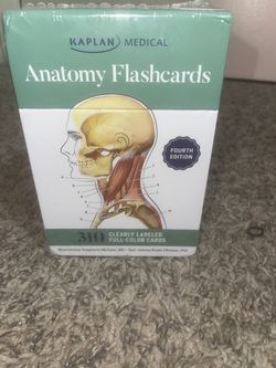 Human Anatomy Flash Cards
