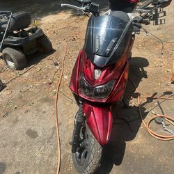 2024 pro fighter moped