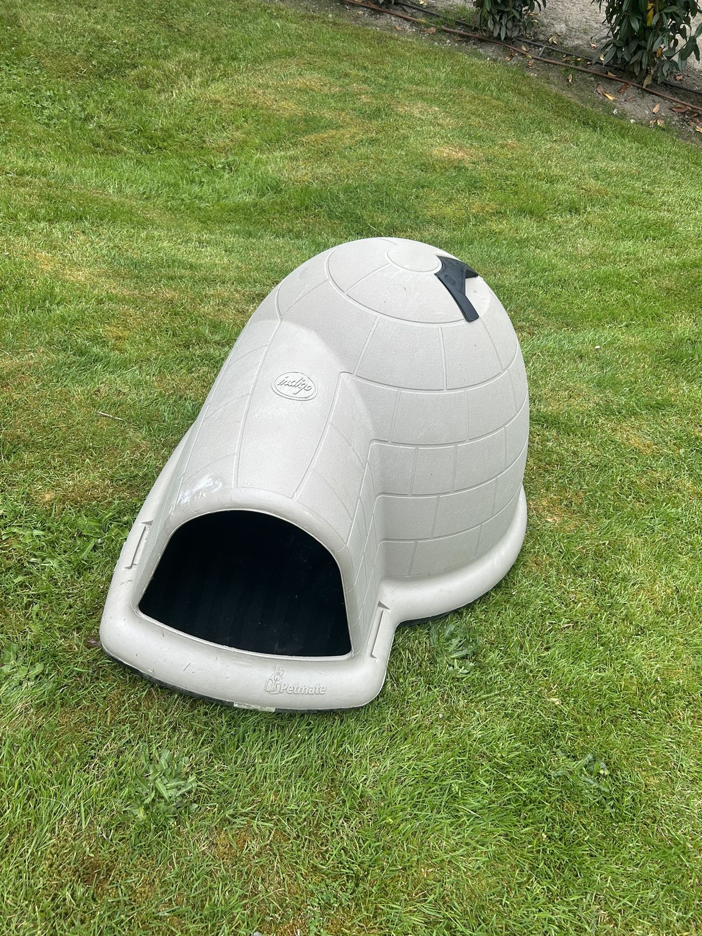 Igloo Dog House