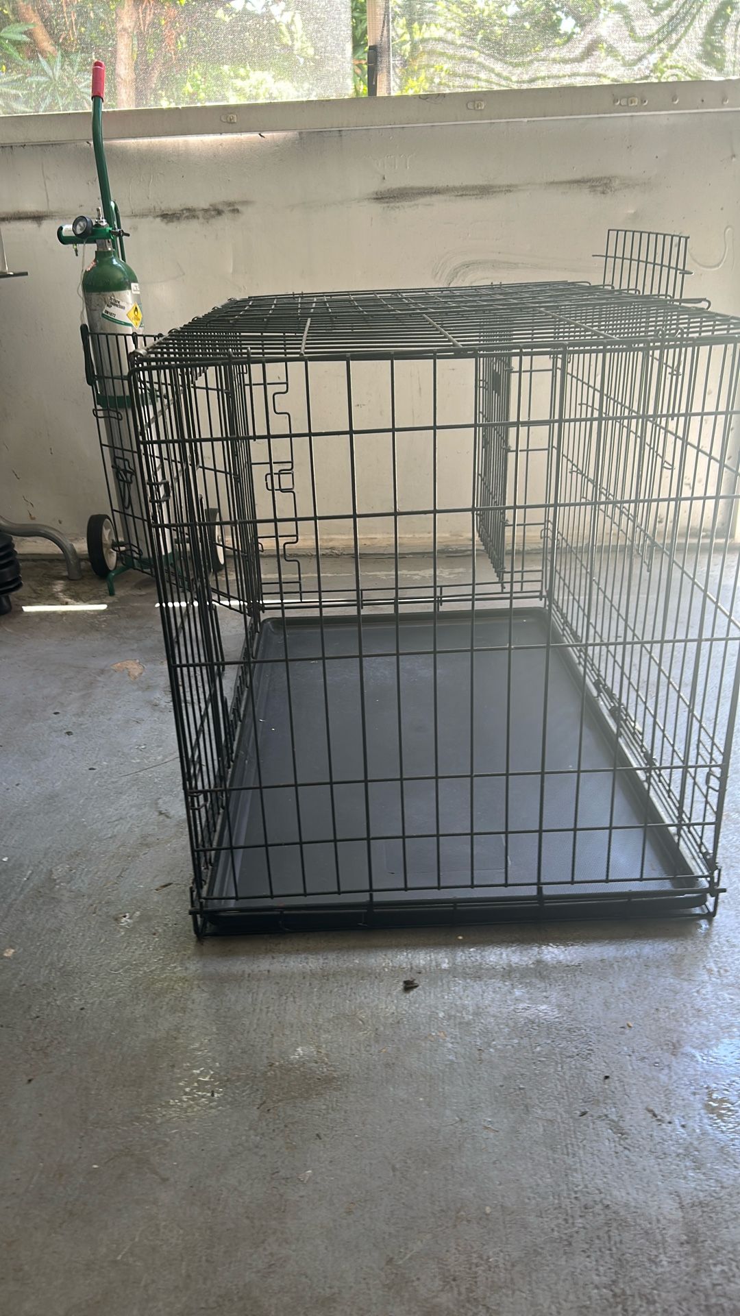 Kong Dog Cage