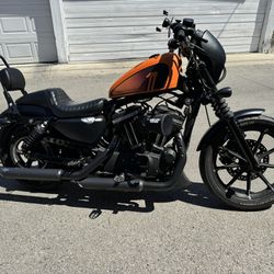 2020 Harley Davidson 883 Iron Sportster 1275cc