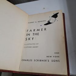 Farmer In The Sky