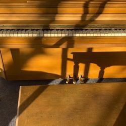 Pianos For Sale 