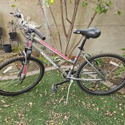  EXCELLENT NISHIKI ALAMOSA MOUNTAIN BIKE - 17" Frame $55!