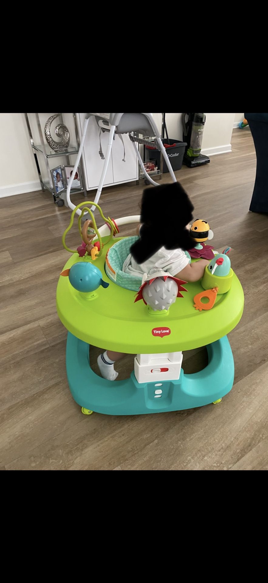 Baby Activity Walker