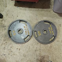 Pair 45lbs golds gym grip Olympic 2" weights