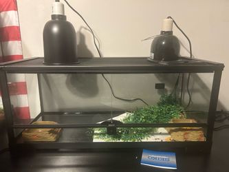crested gecko tank