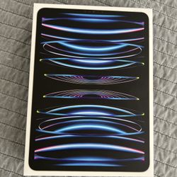 iPad Pro 11 In 2TB
