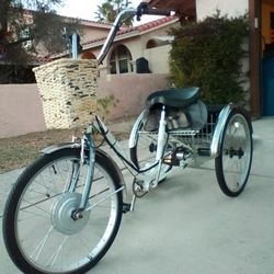 Adult Electric Tricycle Only $399