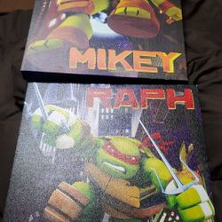 Set Of Ninja Paitings