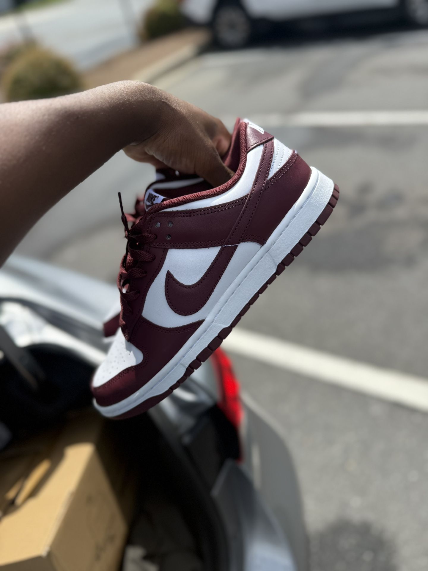 Nike Dunk Low Tops