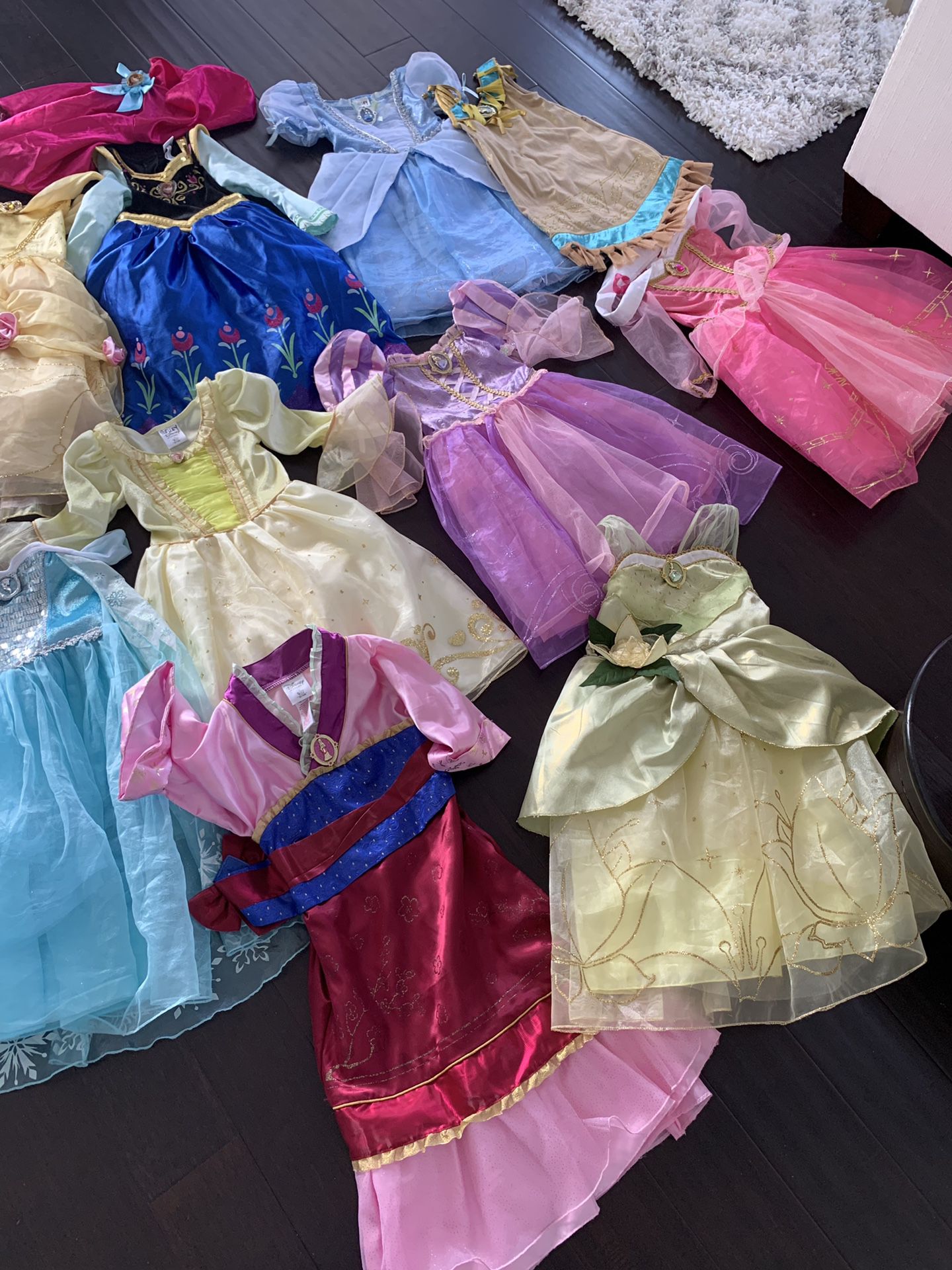 Disney Store official Princess Dresses