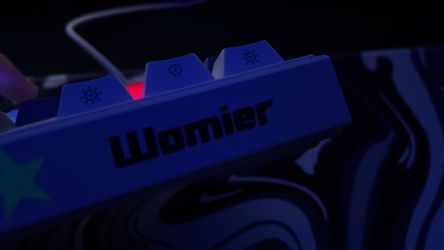 Gaming Keyboard (Womier)