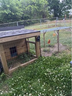 Mini Barn Chicken Coop w/ detachable 6 ft enclosed run