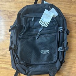 NWT Eastwest Backpack 20.5”