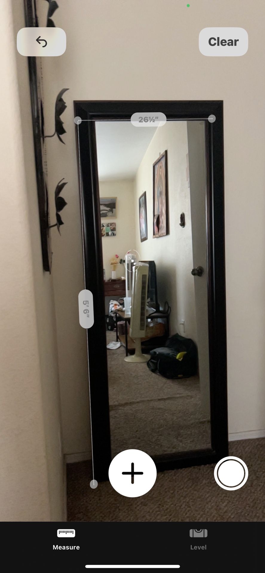 Tall Mirror