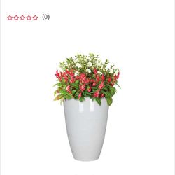Ceramic Pots