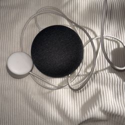 Google Nest Mini
