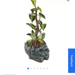 Water Drippung Tree