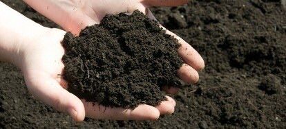 Rich, screened topsoil