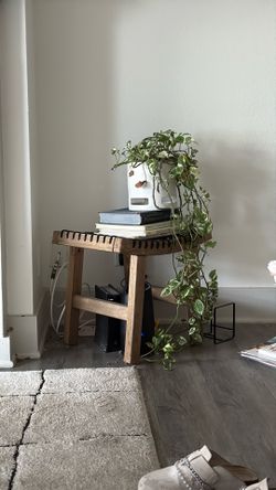 Plant with Stand