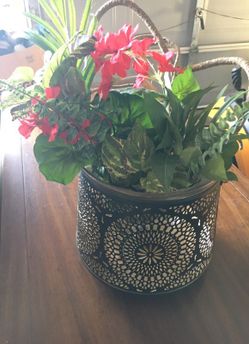Flower in container