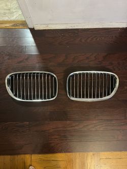 BMW grill (must Go)