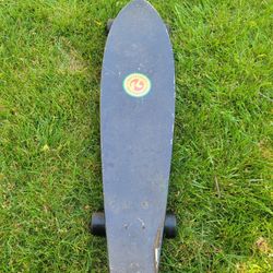 Kryptonics Rasta Long Board Skate Board 
