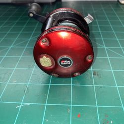 A BU Garcia Fishing Reel