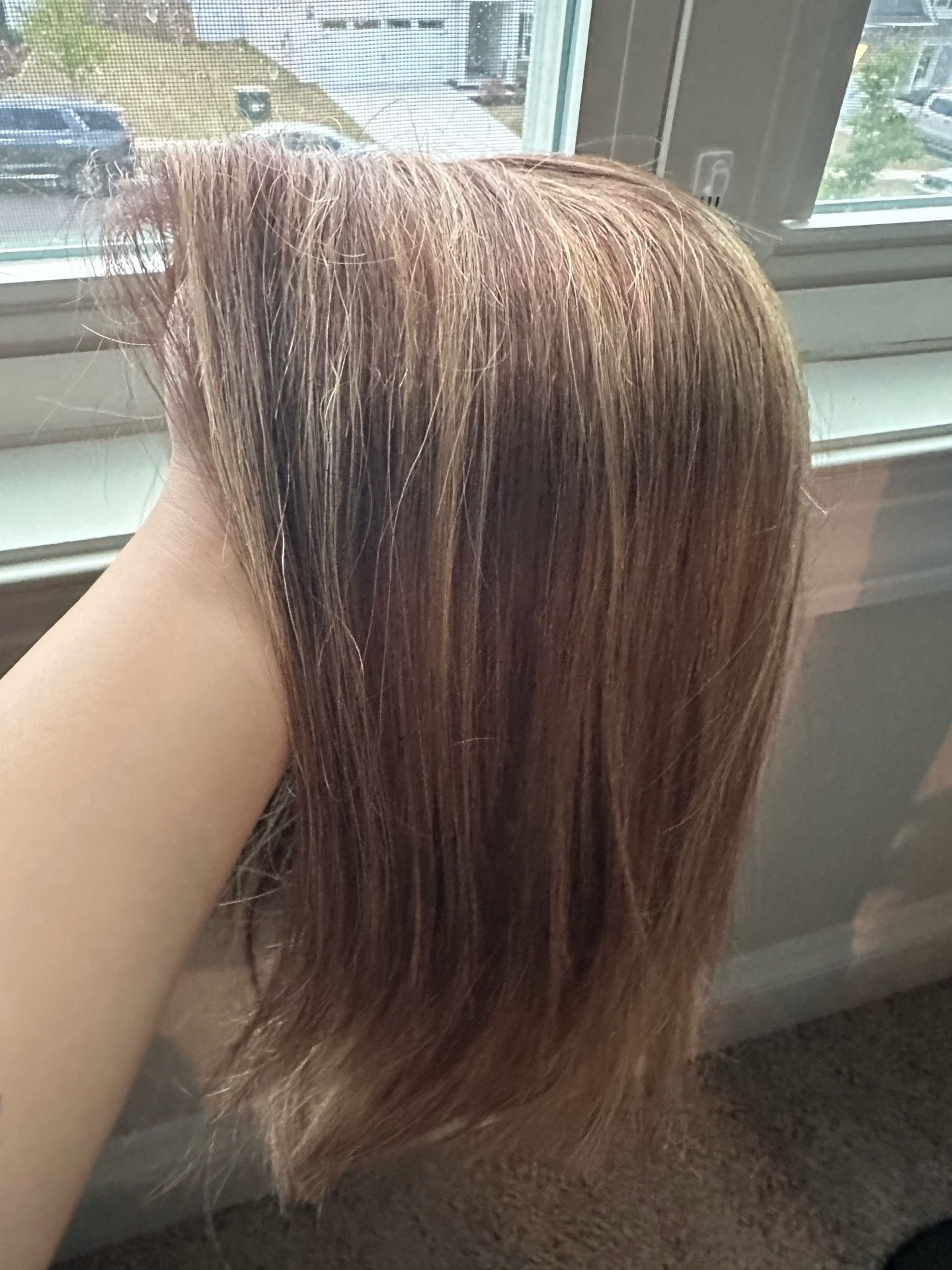 Wig