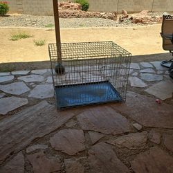 dog case