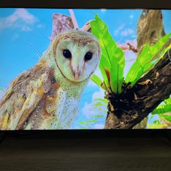 Beautiful 4K 55 Inch Samsung TV 🖥️